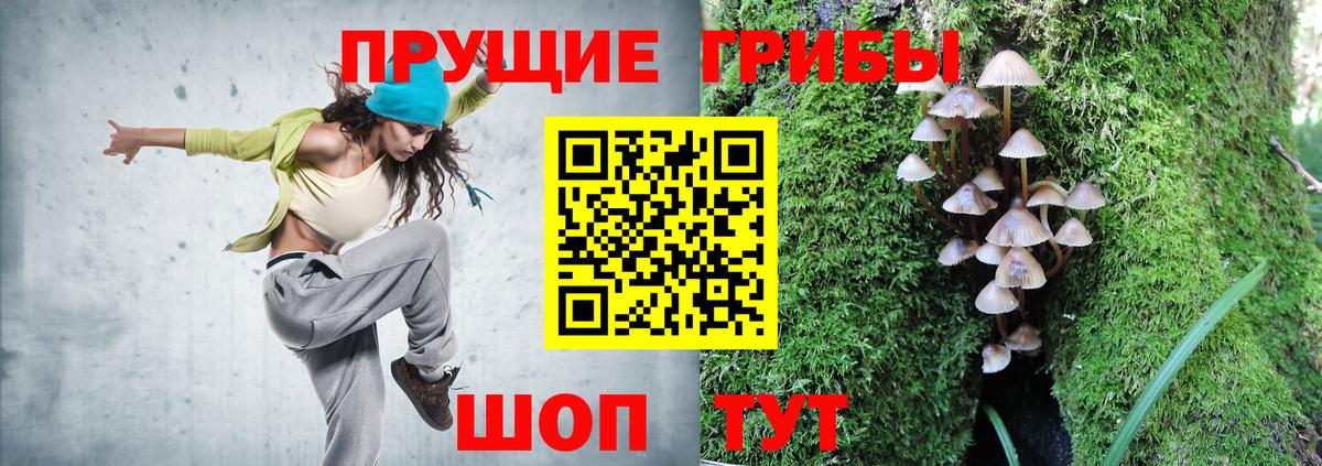 Арзамас  Псилоцибиновые грибы Psilocybe  Вход с VPN 
